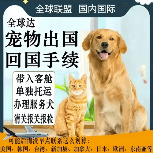 昌吉州宠物托运到柬埔寨宠物入境规定和要求