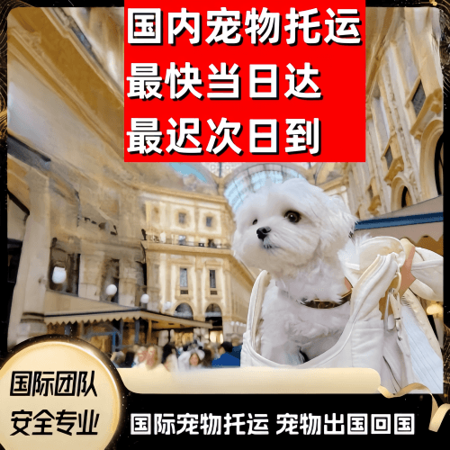 昌吉州到澳大利亚（澳洲）宠物入境规定和要求