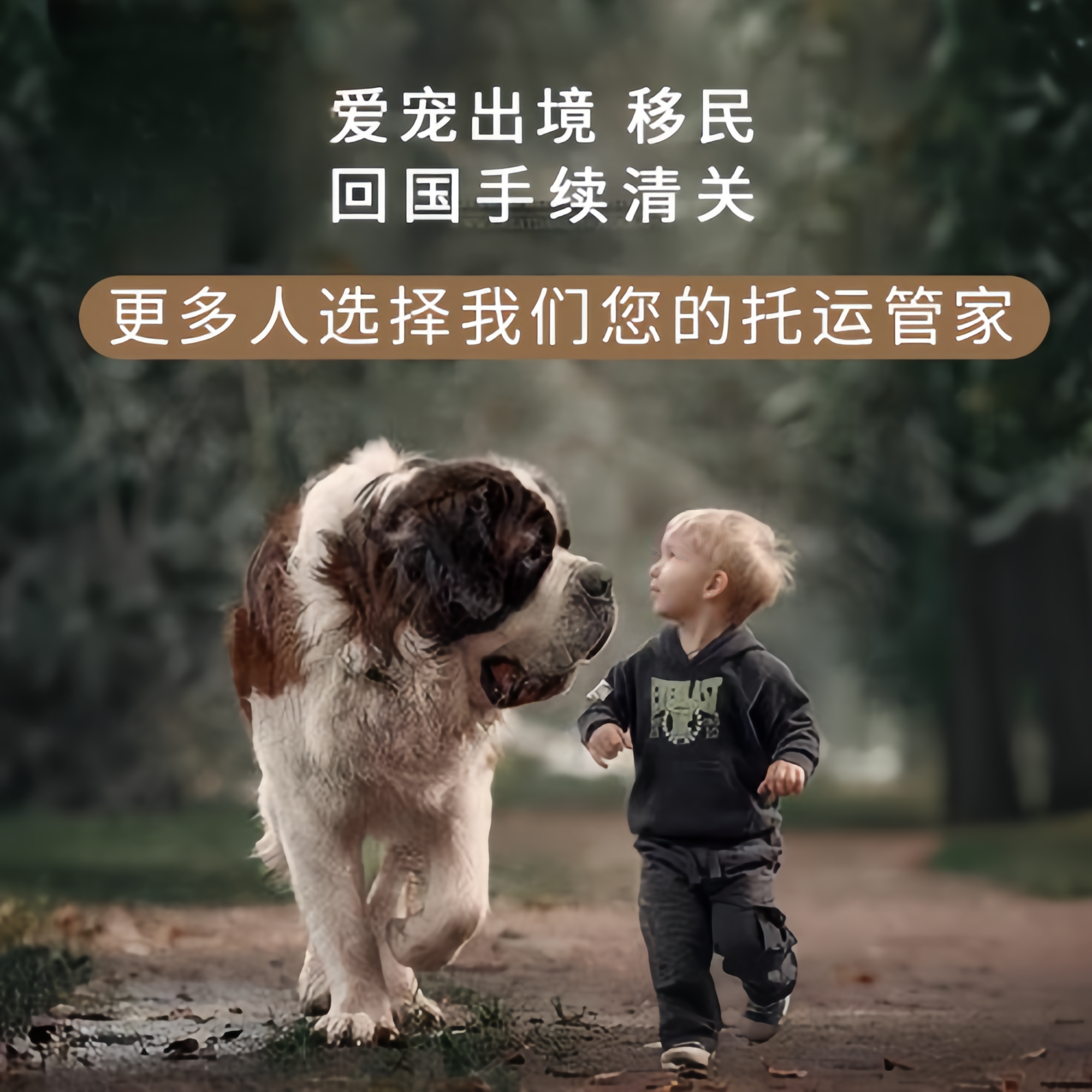 满财昌吉州宠物全球达宠物托运在遵守入境目的地政策的条件