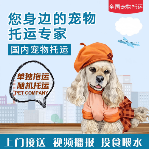 满财昌吉州宠物全球达宠物托运作为专业的宠物运输代理机构